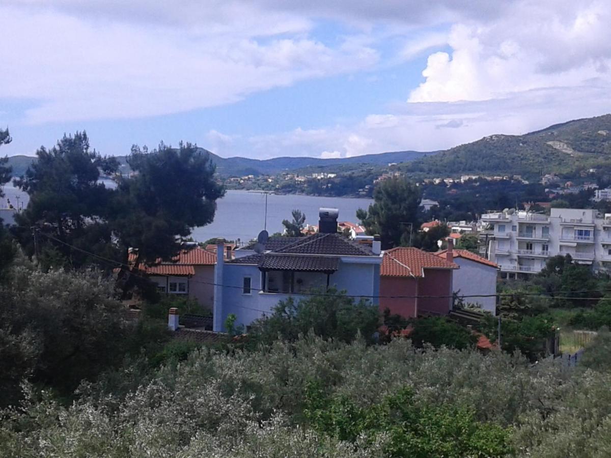 Helianthos Villa - Apartment No1 PalaiónTsiflíkion Buitenkant foto